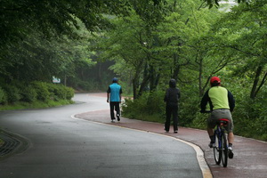 산책로