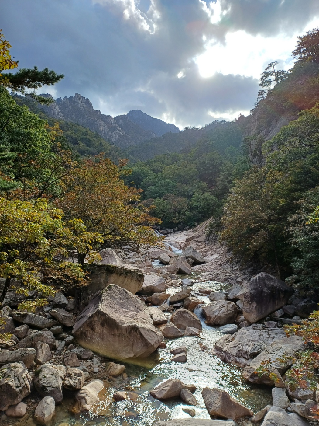 KakaoTalk_20231010_171027896.jpg